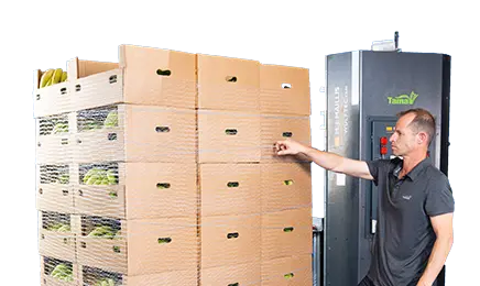 Pallets Machine Stretch